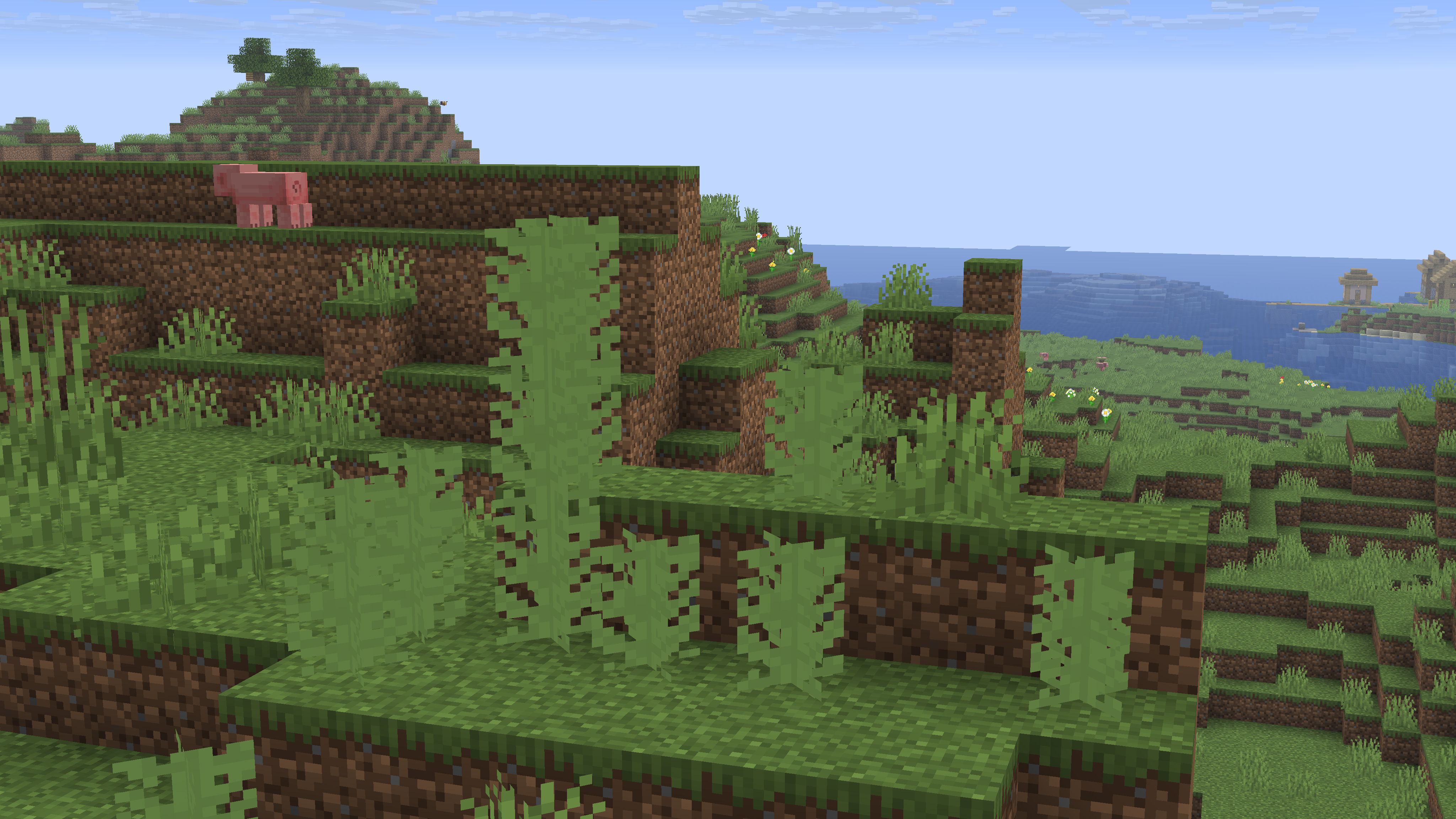 This showcases a naturally generating banana patch.